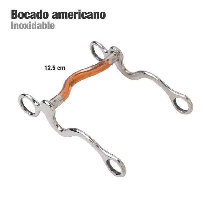 Mors voor Amerikaanse paard Zaldi 607926