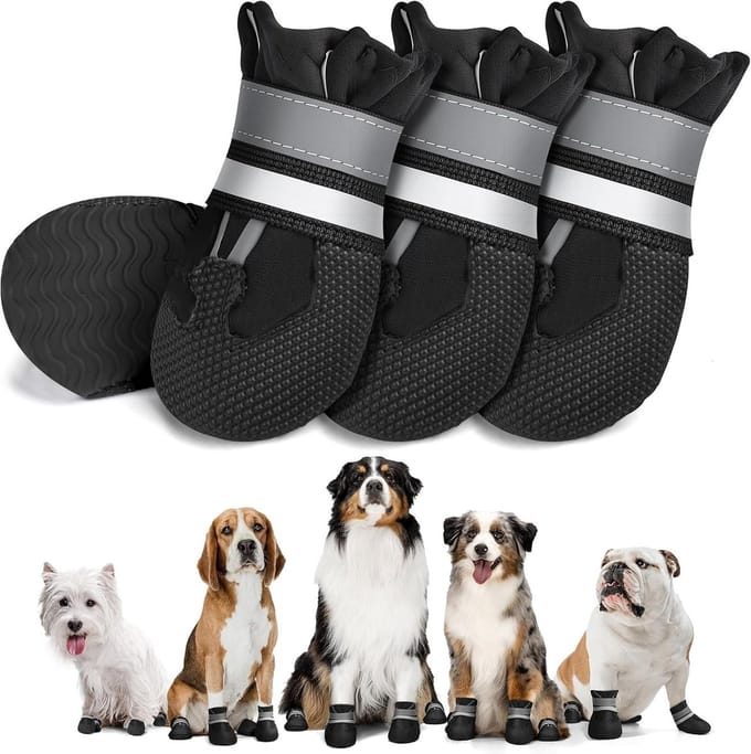 Schoenen Paw Protector S