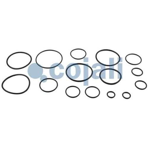 Reparatieset, remklep, bedrijfsrem COJALI 6012001