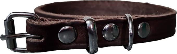 Schins Basic Halsband - Bruin - 35cm