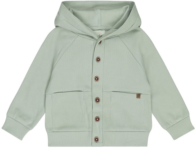 Dirkje Jongens Vest - Soft Sage