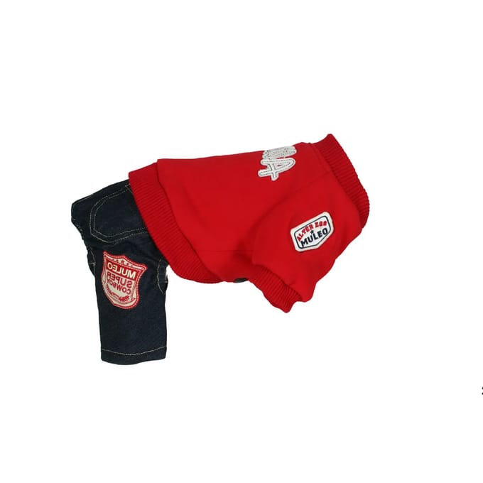 Sweatshirt en broek voor honden Martin Sellier US AE