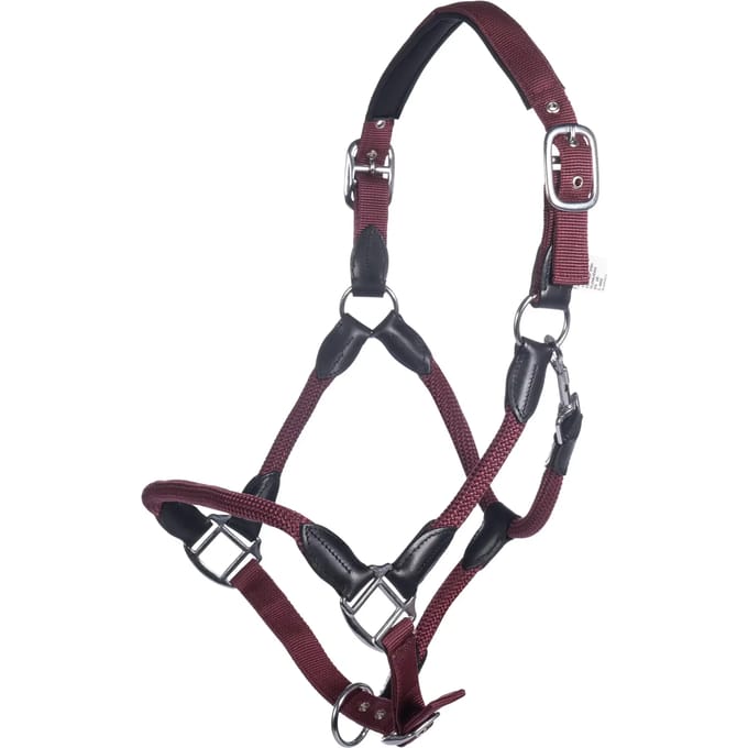 Halster voor paarden HKM Carlotta