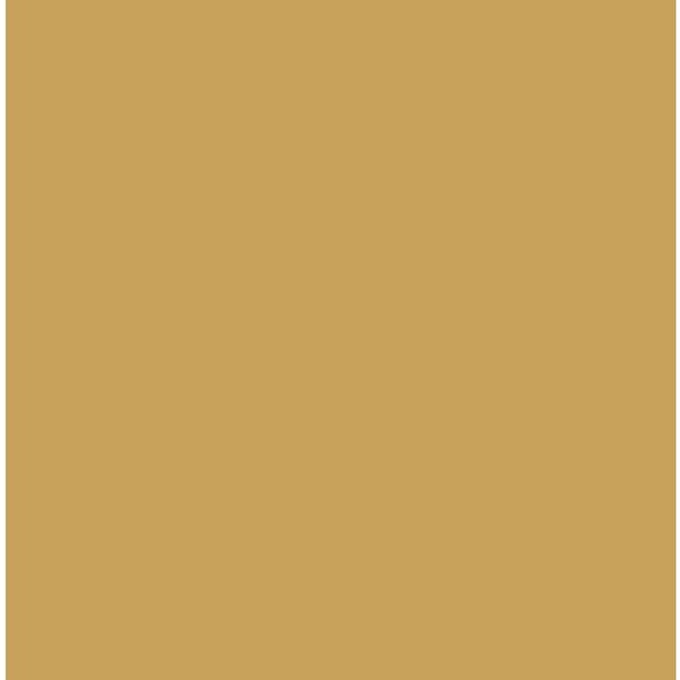 Conrad Schnitzler - Gold (CD)