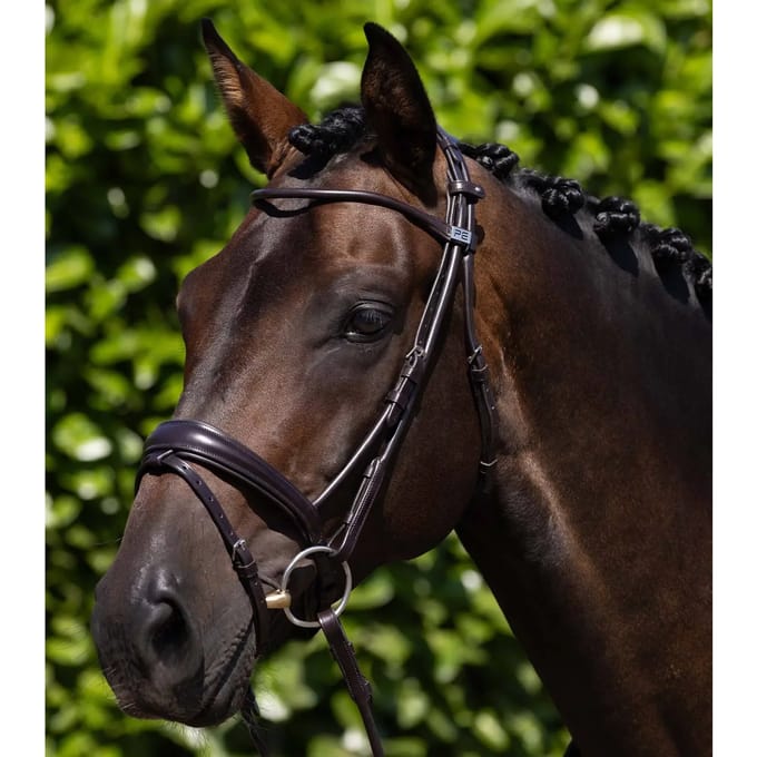 Paardentuig Premier Equine Finetti