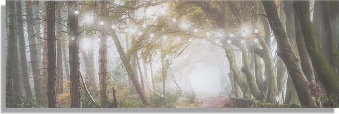 Art for the Home Boswandeling LED Canvas 30x90 cm