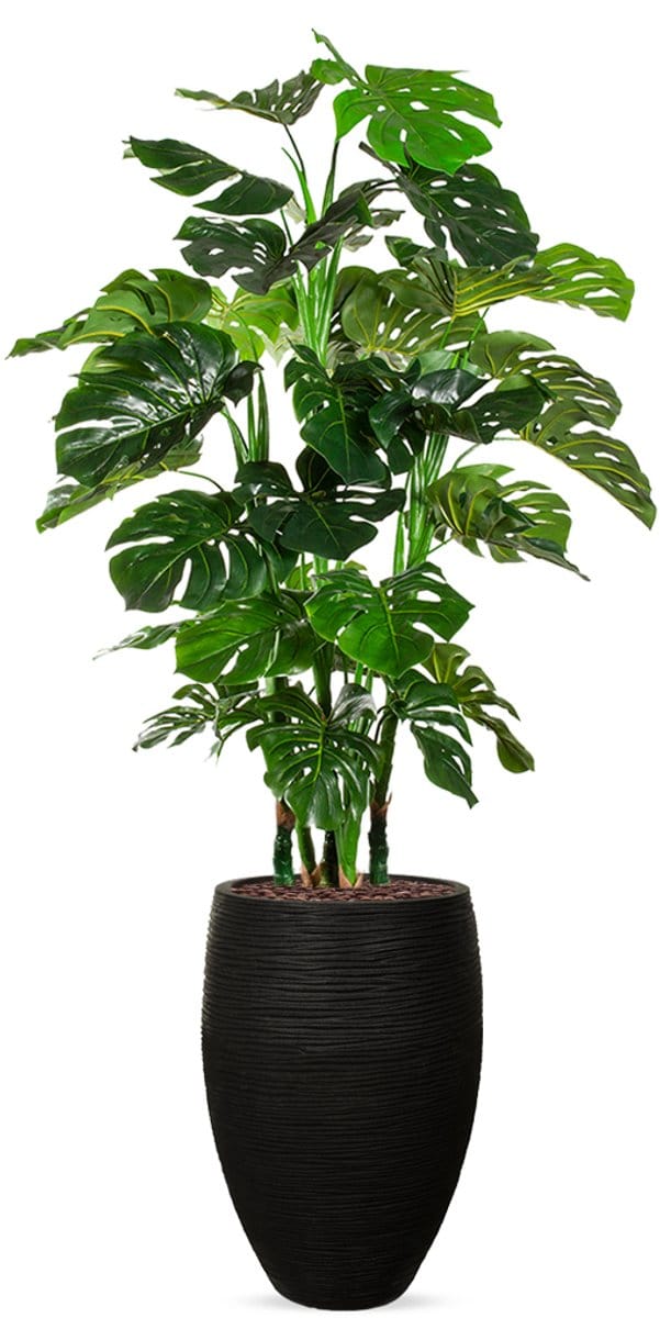 Kunstplant Monstera XL in Vaas elegant Deluxe rib zwart H180 cm