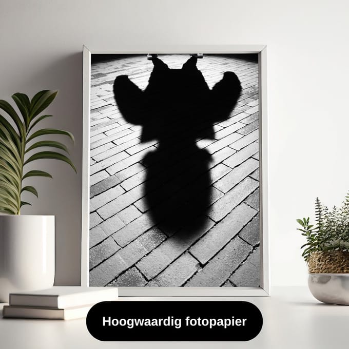 Poster Schaduw Jongen - 30x40 cm - Zwart-Wit Poster - WALLLL