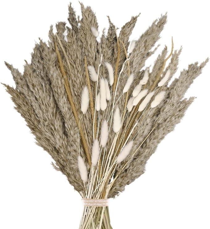 Dailygoods - Gedroogde Bloemen Boho Boeket - Pampasgras en Konijnenstaarten