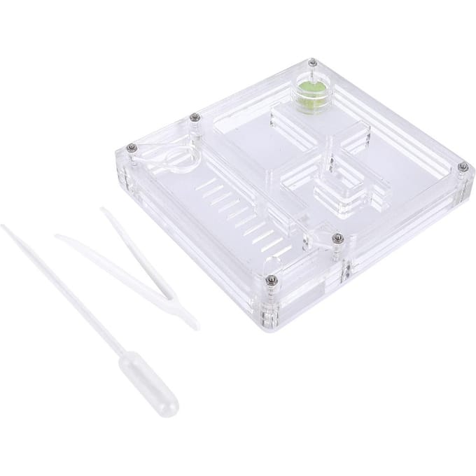 Acryl Transparant Mierenkweekhuis Nest Formicarium Displaybox Ornamentaal white