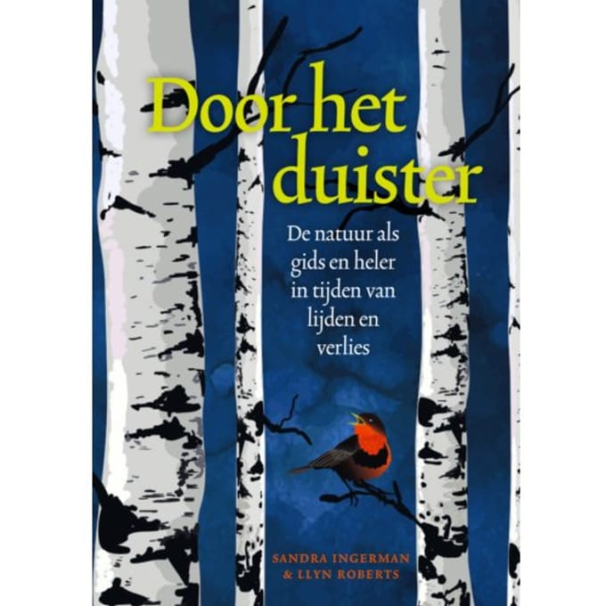 Door Het Duister - Sandra Ingerman