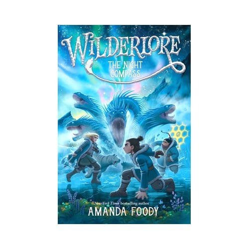 The Night Compass - Wilderlore - Amanda Foody