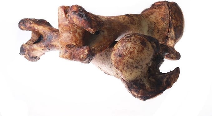 Hondensnacks rund-Dino botten hond-2 stuks-Animal King