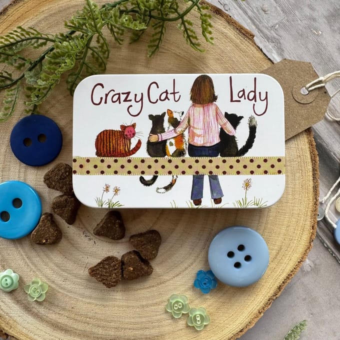 Alex Clark Rectangle Tin Crazy Cat Lady ~ Langwerpig opbergblikje katten