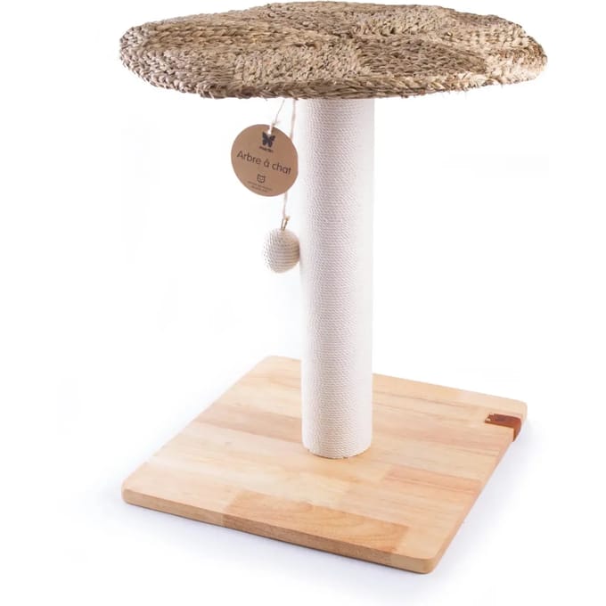 Kattenboom Martin Sellier Pure Plateau