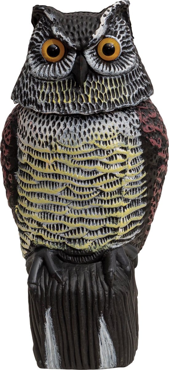 St. Helens Home & Garden vogelverschrikker - levensgrote uil met roterende kop