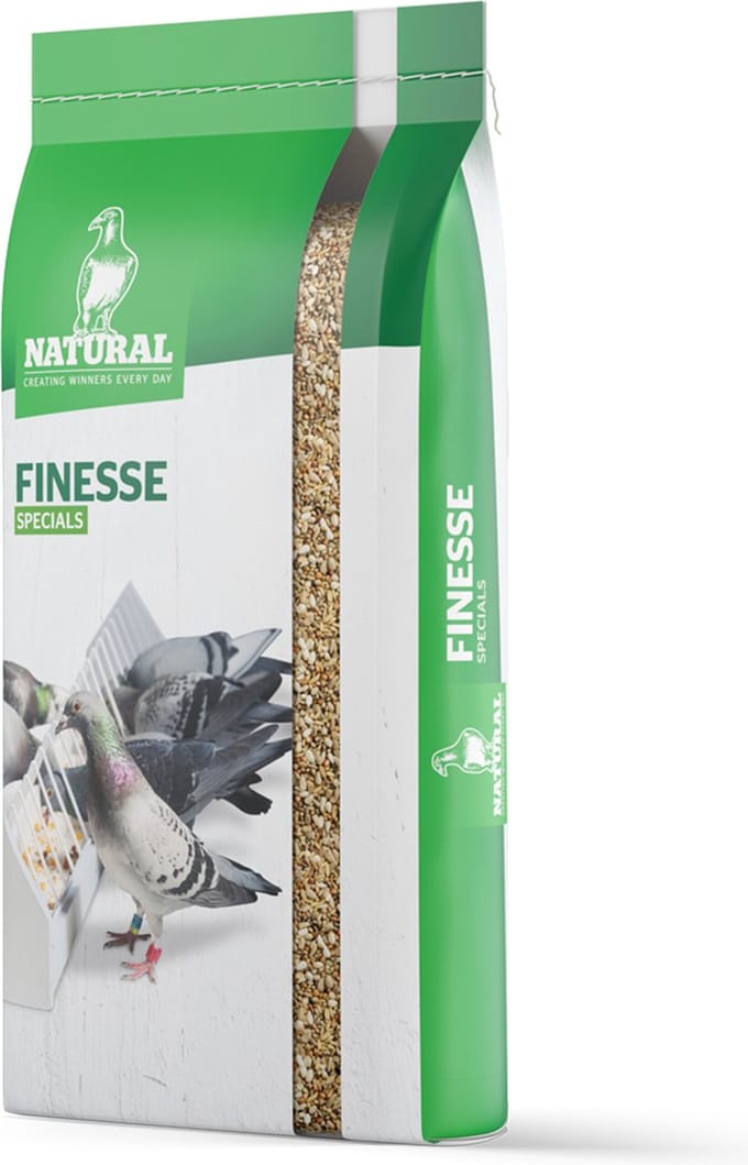 Natural Finesse Wizard 20KG