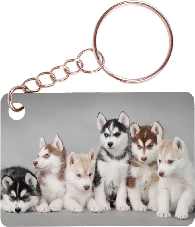 Sleutelhanger 6x4cm - Husky Pups op Rij