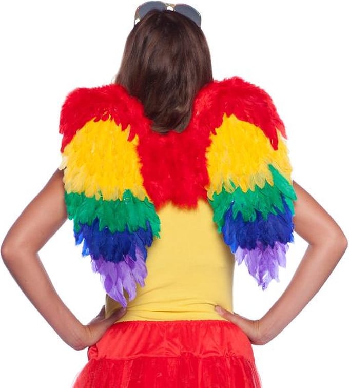 Folat - Feather Wings Rainbow 50x50cm