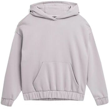 Capuchon sweaters 4F 4FSS23TSWSF255SZARY