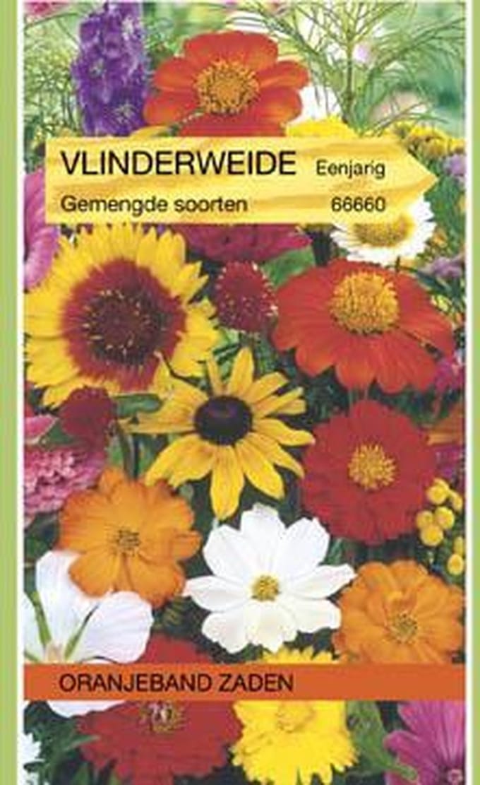 Oranjebandzaden -  Vlinderweide mengsel
