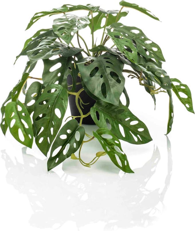 Emerald - Kunstplant in pot Monstera Monkey 55cm - Kunstplant voor binnen