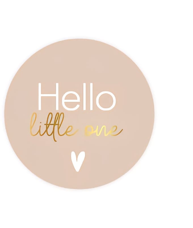 6x Sticker Hallo Little One