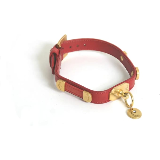 Hondenhalsband Vivog Bride