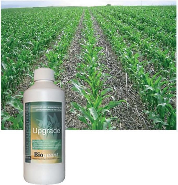 BioQuant, Bio Upgrade 1 ltr