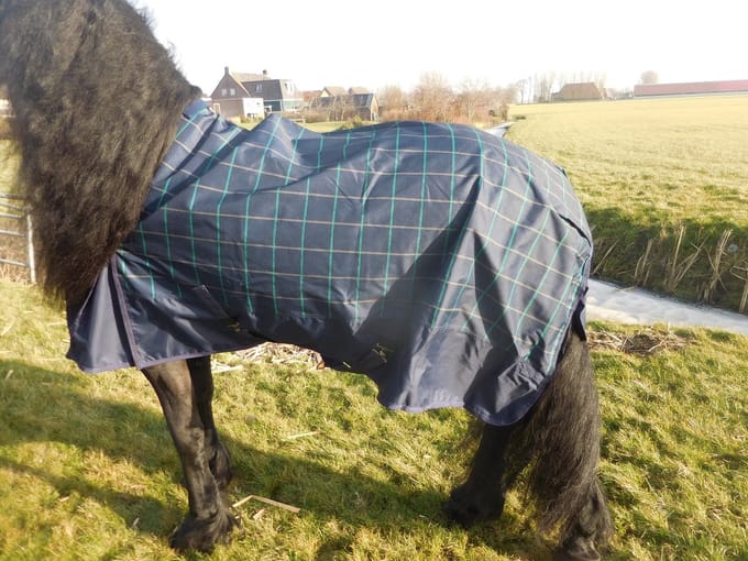 Regendeken luxe 0 gram Navie Ruit paardendeken-165