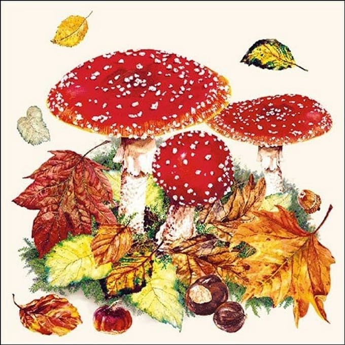 Ambiente servetten - 33x33cm - 20 stuks - Paddestoelen