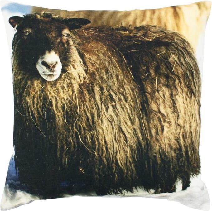 kussen canvas ijslandse schapen 50x50cm