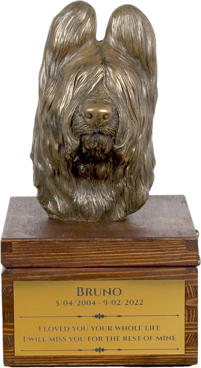 Persoonlijke urn voor Briard met hondenbuste en ascontainer