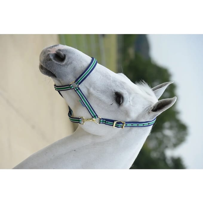 Bucas Halster Dublin Donkerblauw - extra Groot
