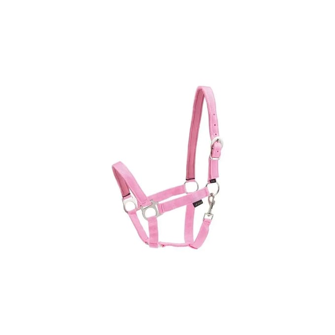 Nylon paardenhalster HorseGuard