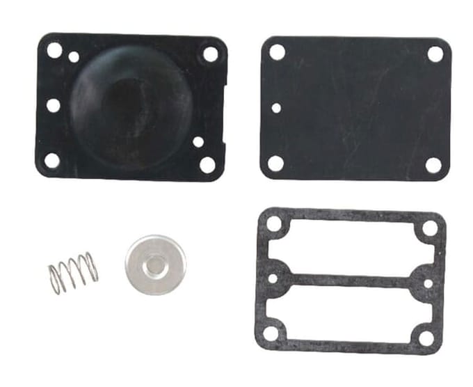 Briggs & stratton brandstofpomp set