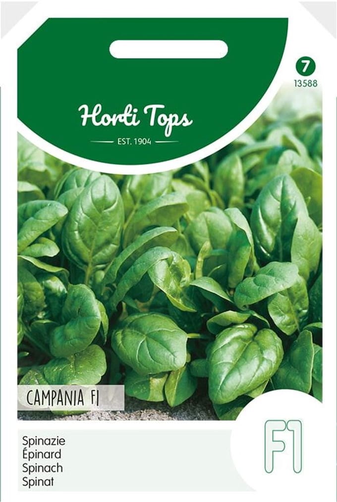 Spinazie Campania F1 - 50 gr