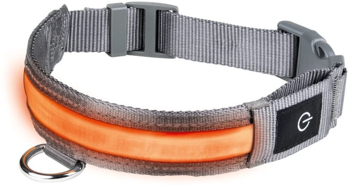 Lichtgevende reflecterende Halsband hond - Medium 47-55 x 3,5 cm - usb