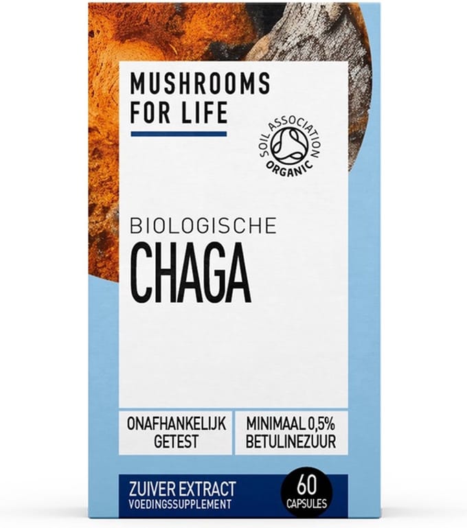 Chaga Paddenstoelen Capsules Bio Mushrooms For Life 60caps