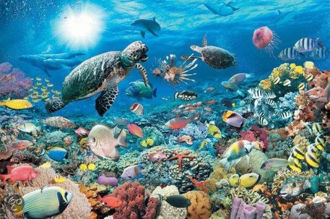 5.000 stukjes zeewereld puzzel Ravensburger