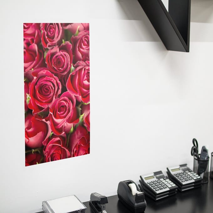 Poster Rode Rozen, A0, Sunaps posterpapier