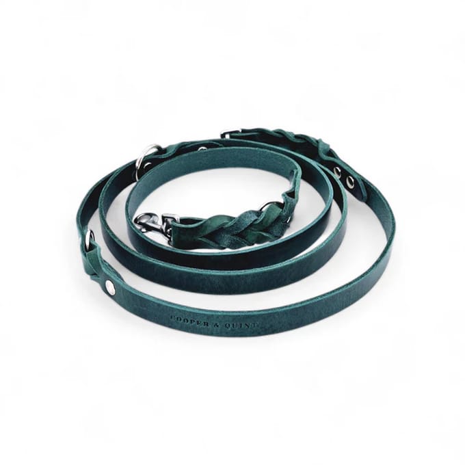 Cooper & Quint Twisted Switch Verstelbare Hondenriem - Groen - 2cm - Zilver