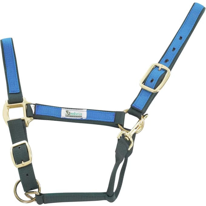 Kleurige nylon halster voor paard Umbria Equitazione