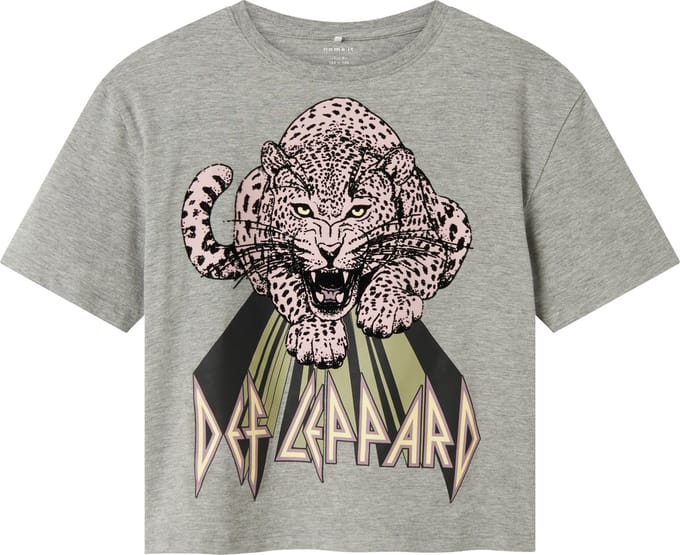 NAME IT - NKFJIKKI DEFLEPPARD SS RLX TOP BOX UNV - Meisjes - T-shirts
