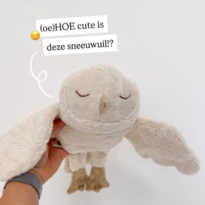 Senger Naturwelt warmte knuffel sneeuwuil klein 2 mnd+