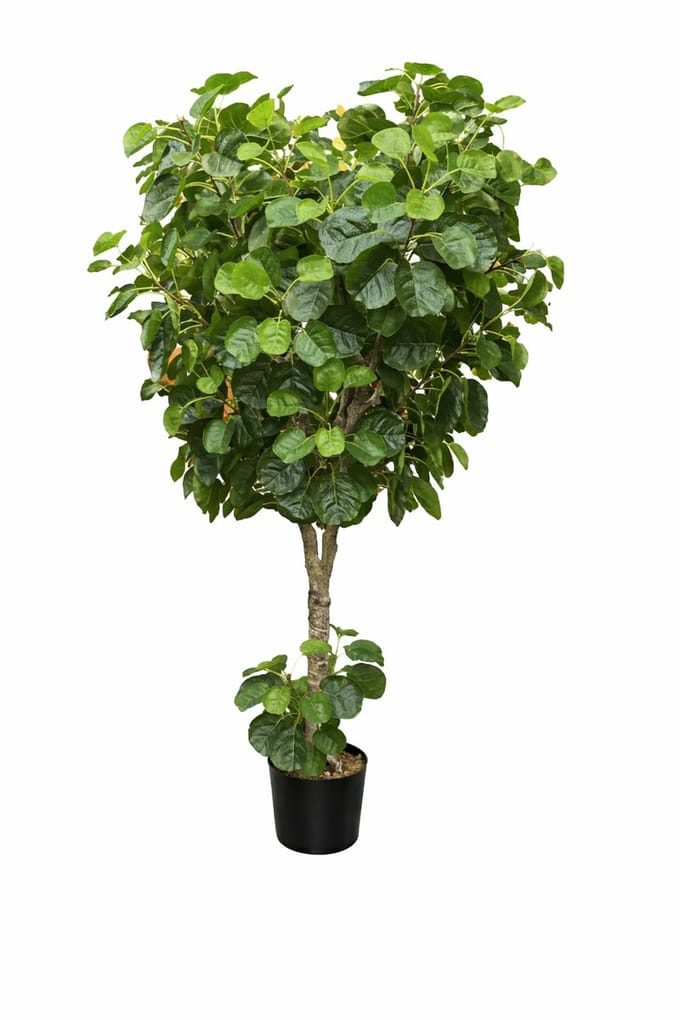 Kunstplant-Kunstboom-Fijn Bladerig-klein blad-180 cm-Lyrata