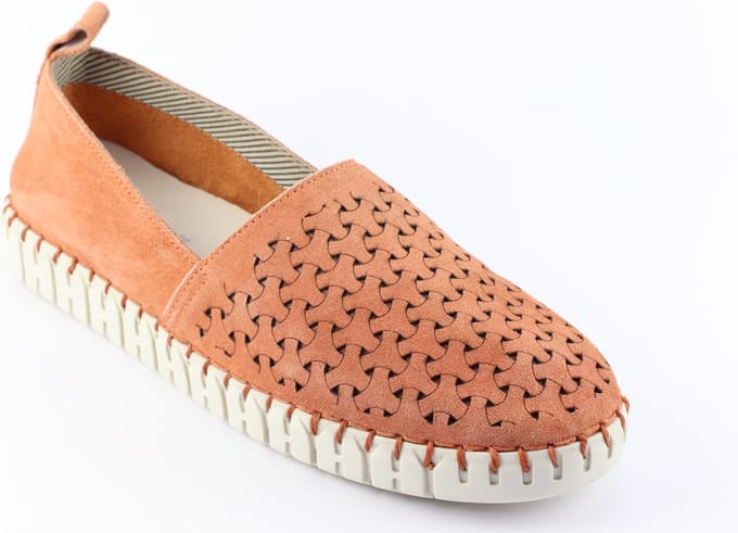 Sioux Rachida.6169291 Macaron