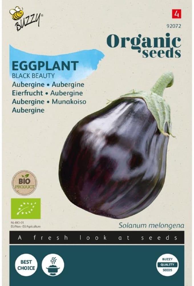 Buzzy Organic - Bio Black Beauty Aubergine - Solanum melongena