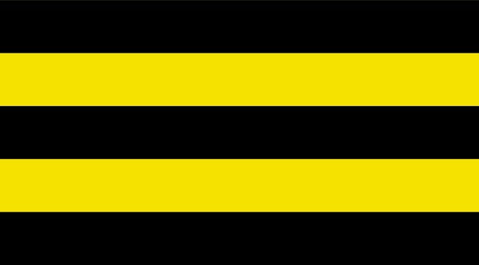 Vlag Schiedam 70x100cm