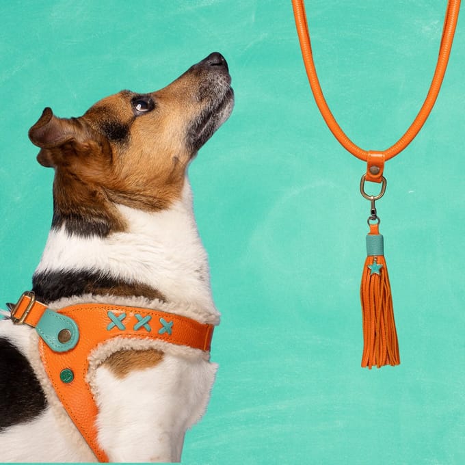 Jottum Orange Hondentuigje Maat 1 (25,5-27,5 cm)